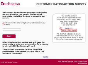 Burlington Survey Website
