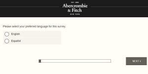 Abercrombie and Fitch survey
