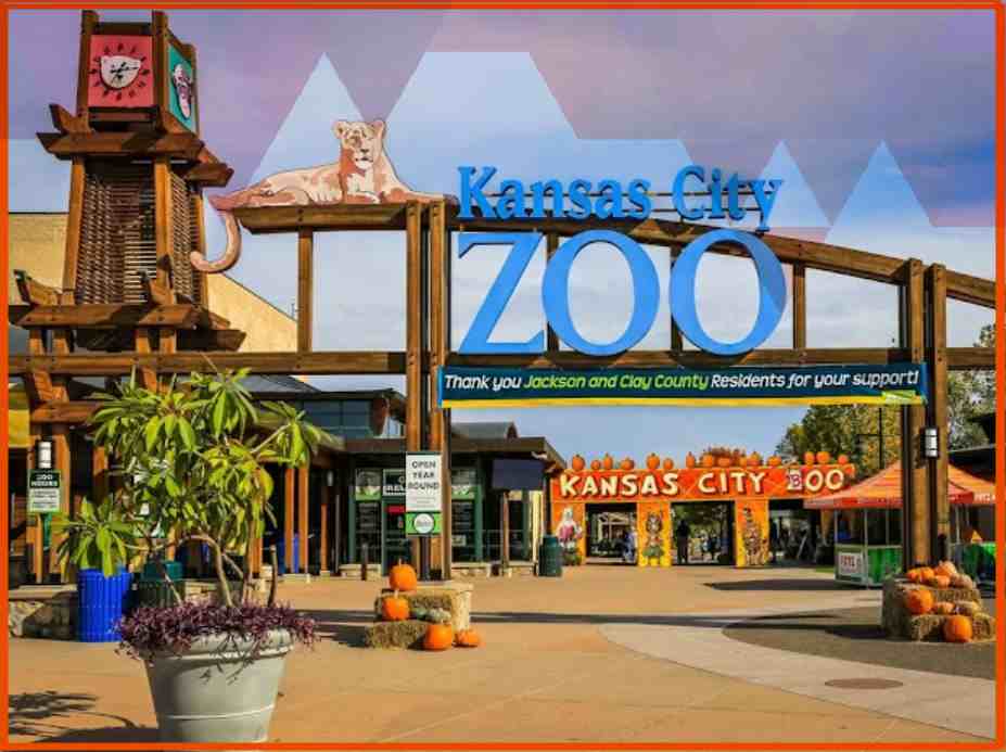 Kansas city zoo experience