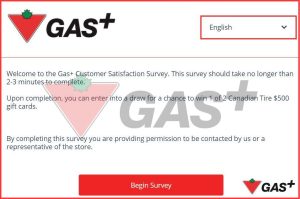 Canadian tire gas 